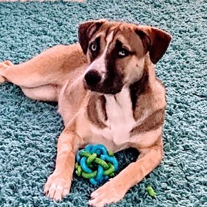 Meet your Posher, Angela